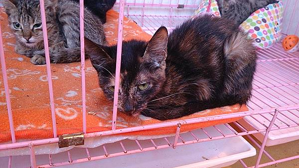 2013-10-19 10.37.46 2013-10-19 10.37.46