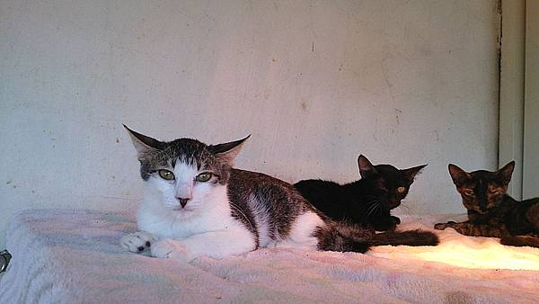 2013-10-19 10.38.22 2013-10-19 10.38.22