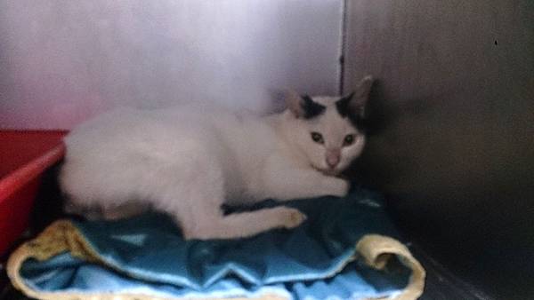 2013-10-26 10.36.00.jpg