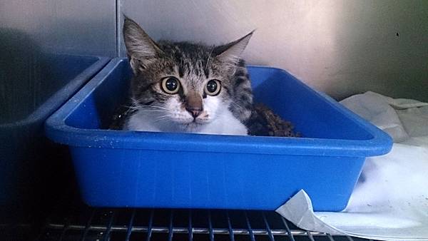 2013-10-26 10.36.09.jpg