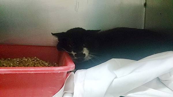 2013-10-26 10.36.31.jpg