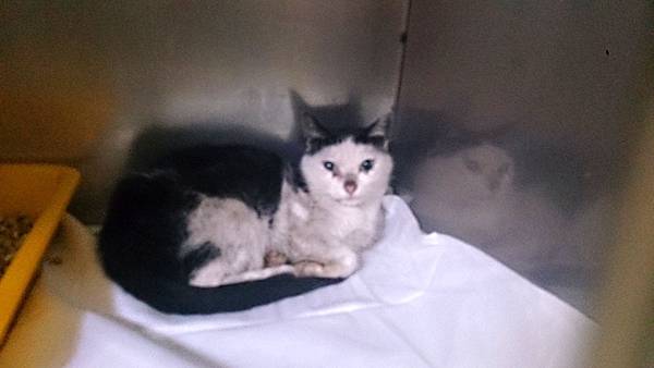 2013-10-26 10.36.42.jpg