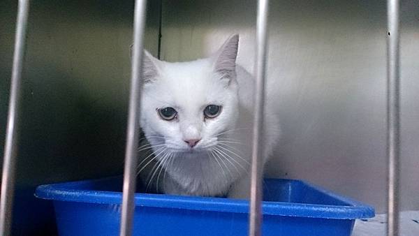 2013-10-26 10.37.12.jpg