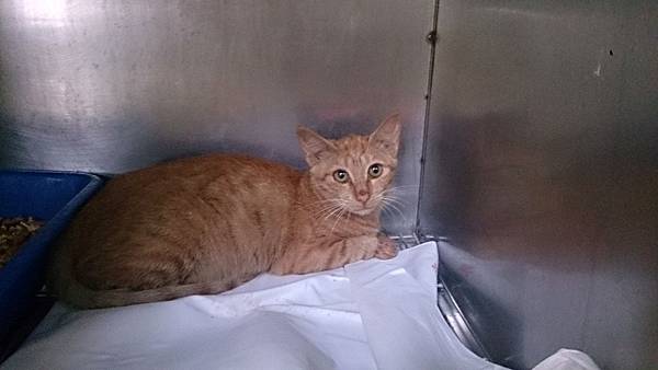 2013-10-26 10.36.51.jpg