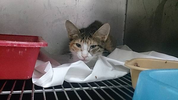 2013-10-26 10.37.24.jpg