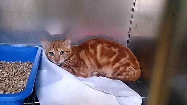 2013-10-26 10.37.32.jpg