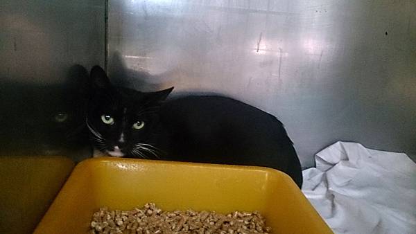 2013-10-26 10.37.41.jpg