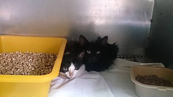 2013-10-26 10.38.15.jpg