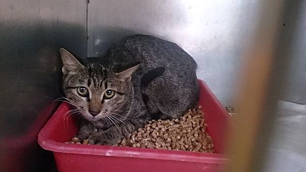 2013-10-26 10.38.34.jpg