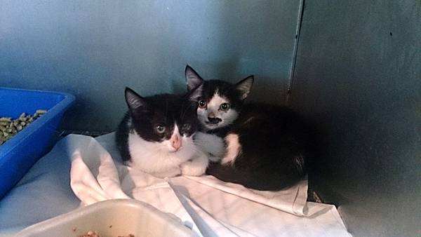 2013-10-26 10.38.40.jpg