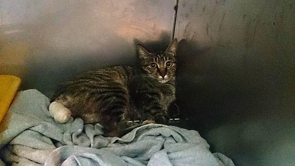 2013-10-26 10.38.52.jpg