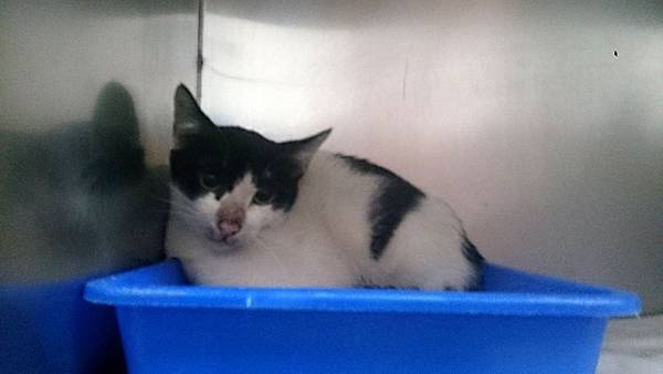 2013-10-26 10.38.57.jpg