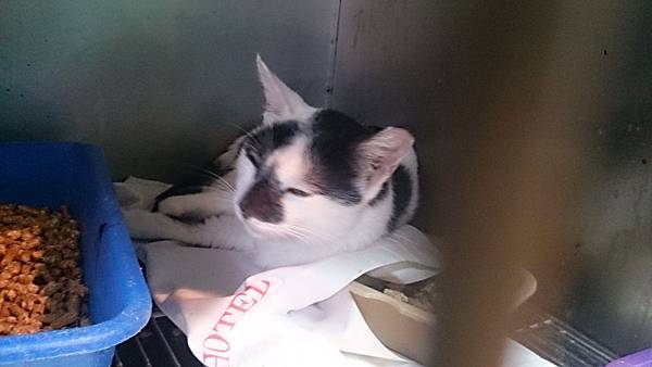 2013-10-26 10.39.15.jpg