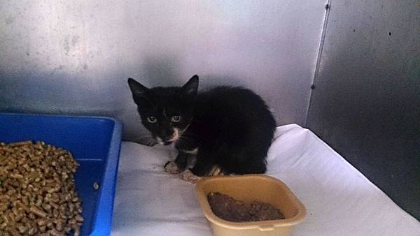 2013-10-26 10.39.30.jpg