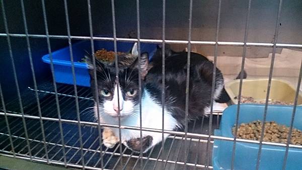 2013-10-26 10.40.15.jpg