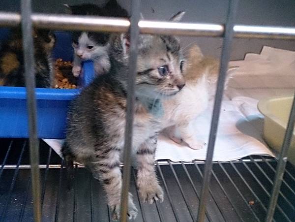 2013-10-26 10.57.08.jpg