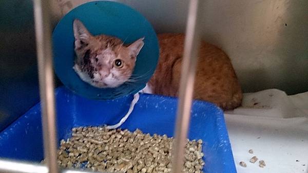 2013-10-26 12.04.37.jpg