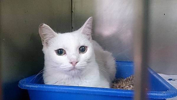 2013-10-26 12.05.15.jpg