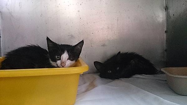 2013-10-26 12.05.57.jpg