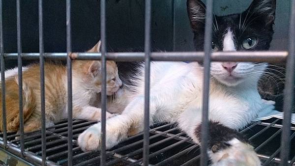 2013-10-26 12.06.18.jpg