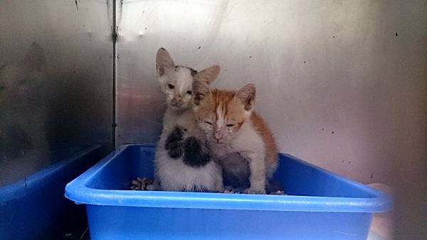 2013-10-26 12.07.00.jpg