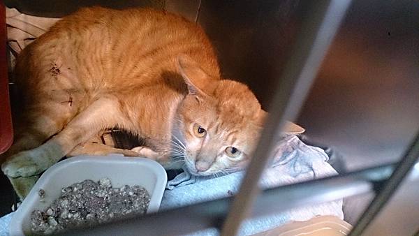 2013-10-26 12.07.27.jpg