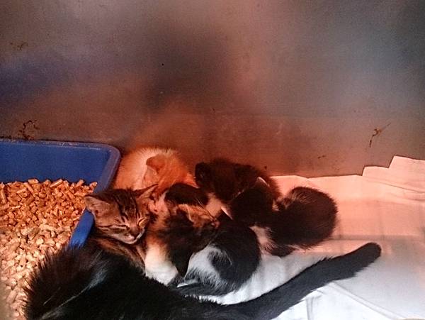 2013-10-26 13.47.43.jpg