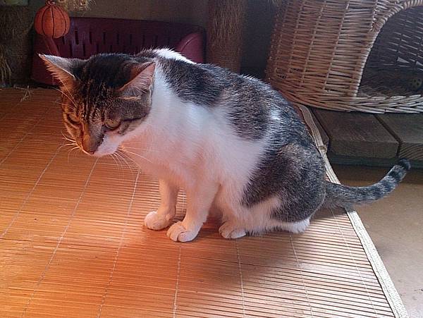 2013-10-26 10.50.16.jpg