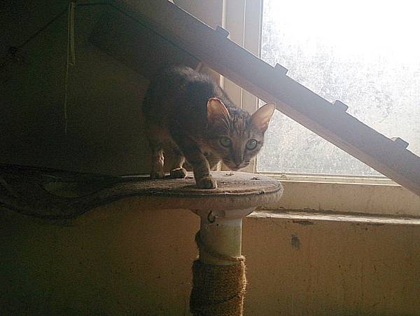 2013-10-26 10.50.19.jpg