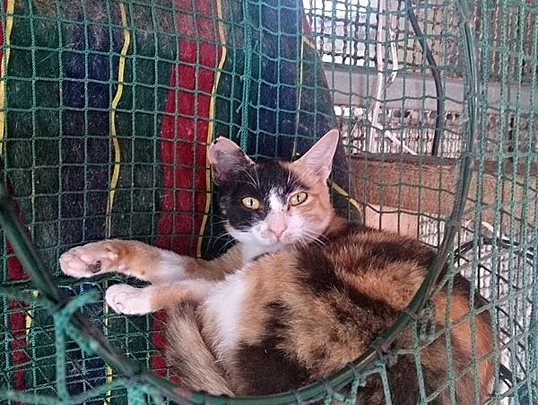 2013-10-26 10.50.25.jpg