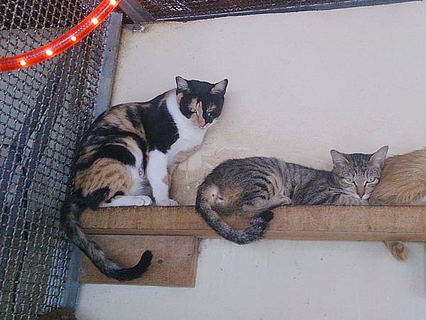 2013-10-26 10.50.29.jpg