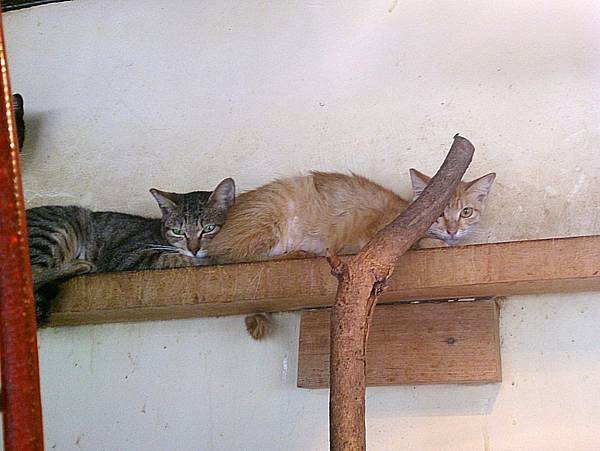 2013-10-26 10.50.35.jpg