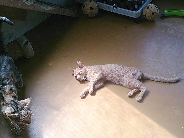 2013-10-26 10.50.44.jpg