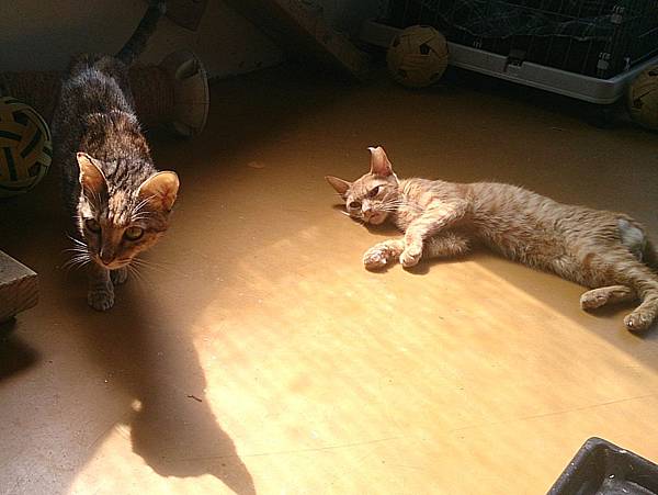 2013-10-26 10.50.53.jpg