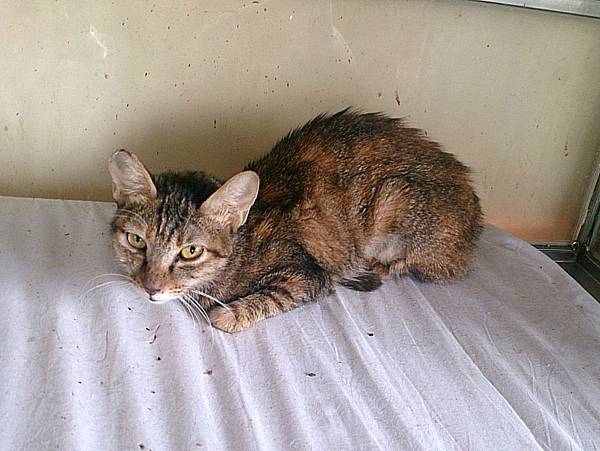 2013-10-26 10.51.27.jpg