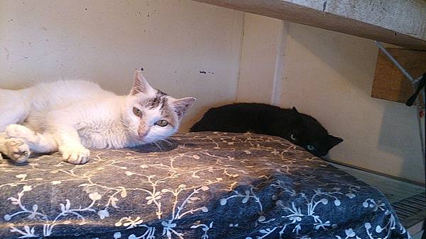 2013-10-26 10.51.36.jpg