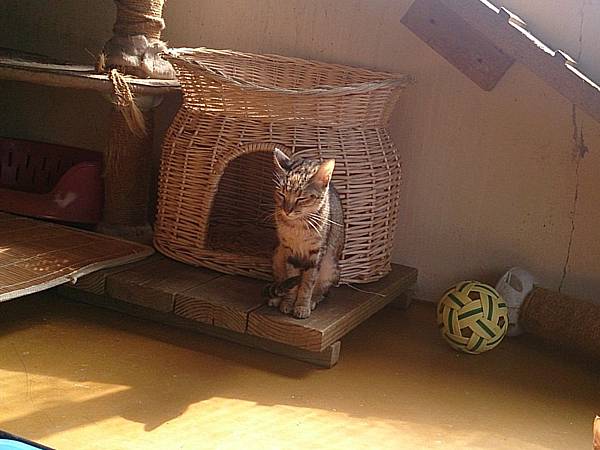 2013-10-26 10.52.28.jpg