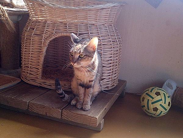 2013-10-26 10.52.36.jpg