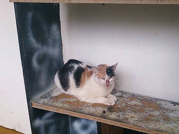 2013-10-26 10.53.05.jpg