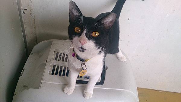 2013-10-26 10.40.55.jpg