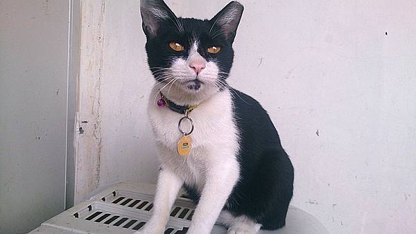 2013-10-26 10.41.05.jpg