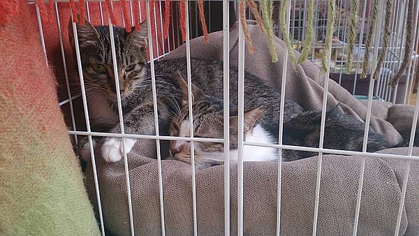 2013-10-26 10.41.13.jpg