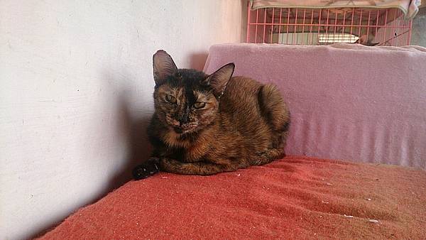 2013-10-26 10.41.19.jpg