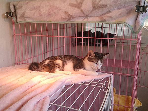 2013-10-26 10.41.26.jpg