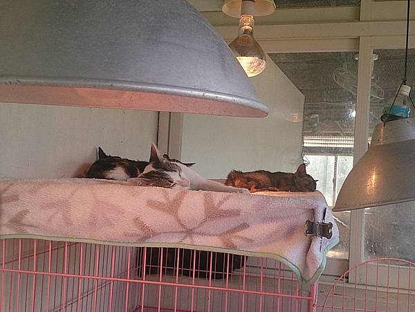 2013-10-26 10.41.39.jpg