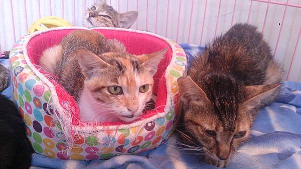 2013-10-26 10.42.41.jpg