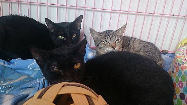 2013-10-26 10.42.51.jpg