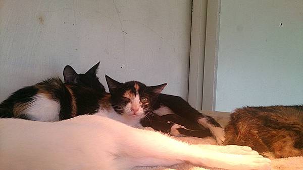 2013-10-26 10.43.29.jpg