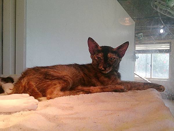 2013-10-26 10.43.40.jpg