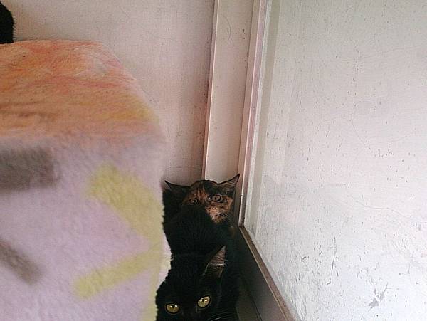 2013-10-26 10.45.03.jpg